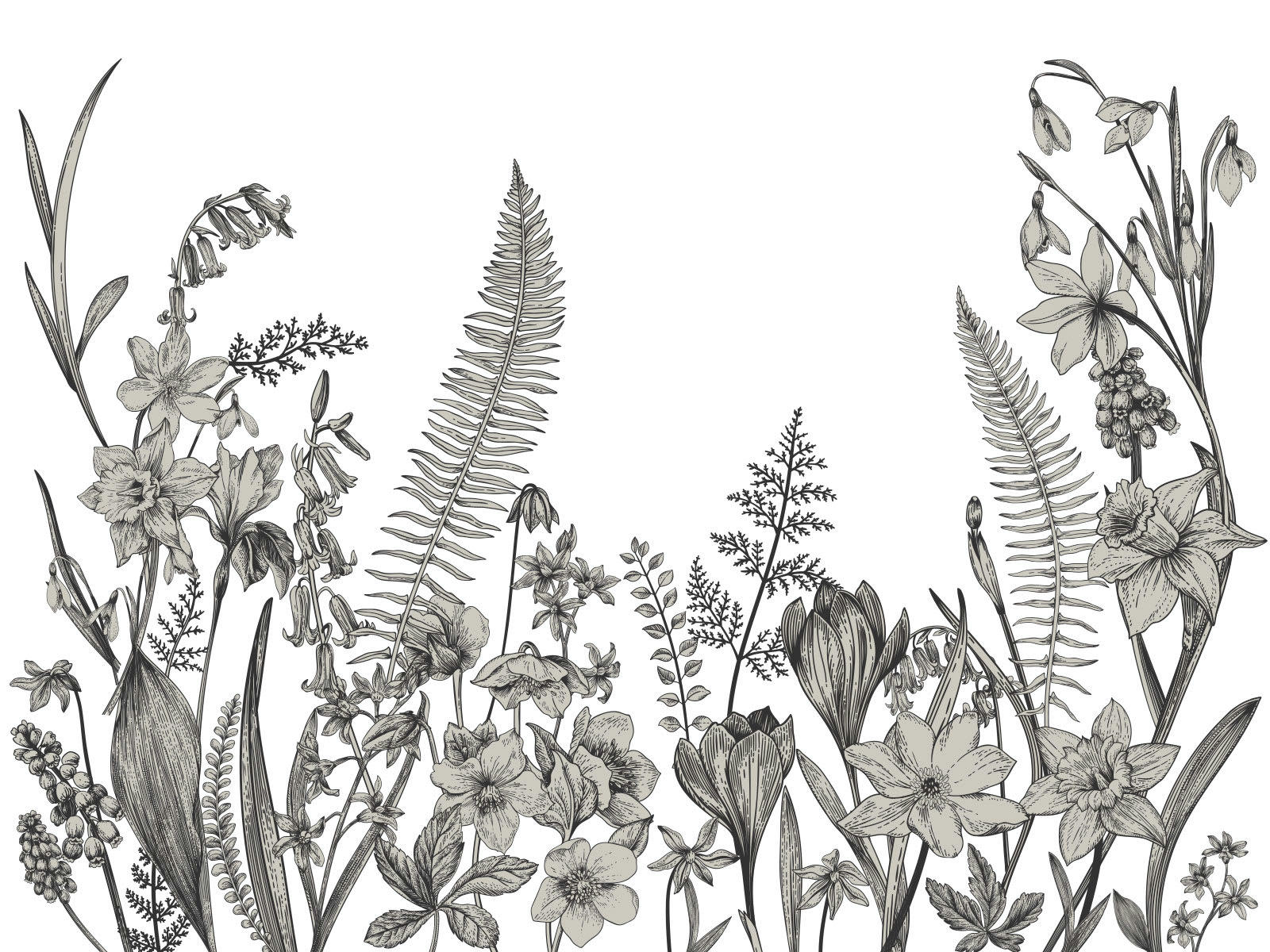 - Papier peint panoramique adhésif sacre du printemps sépia 3m50x2m50