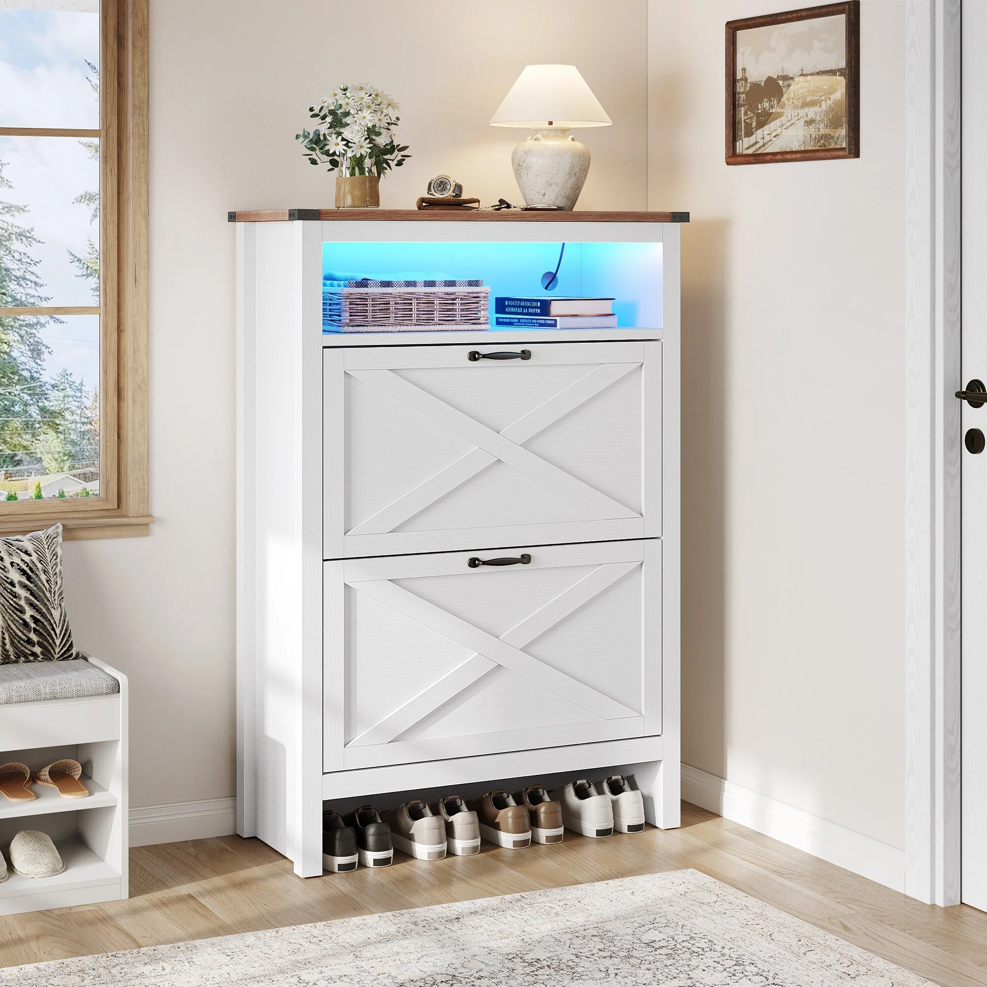 Moasis Shoe Storage Cabinet with 2 Flip Drawers and Led Light