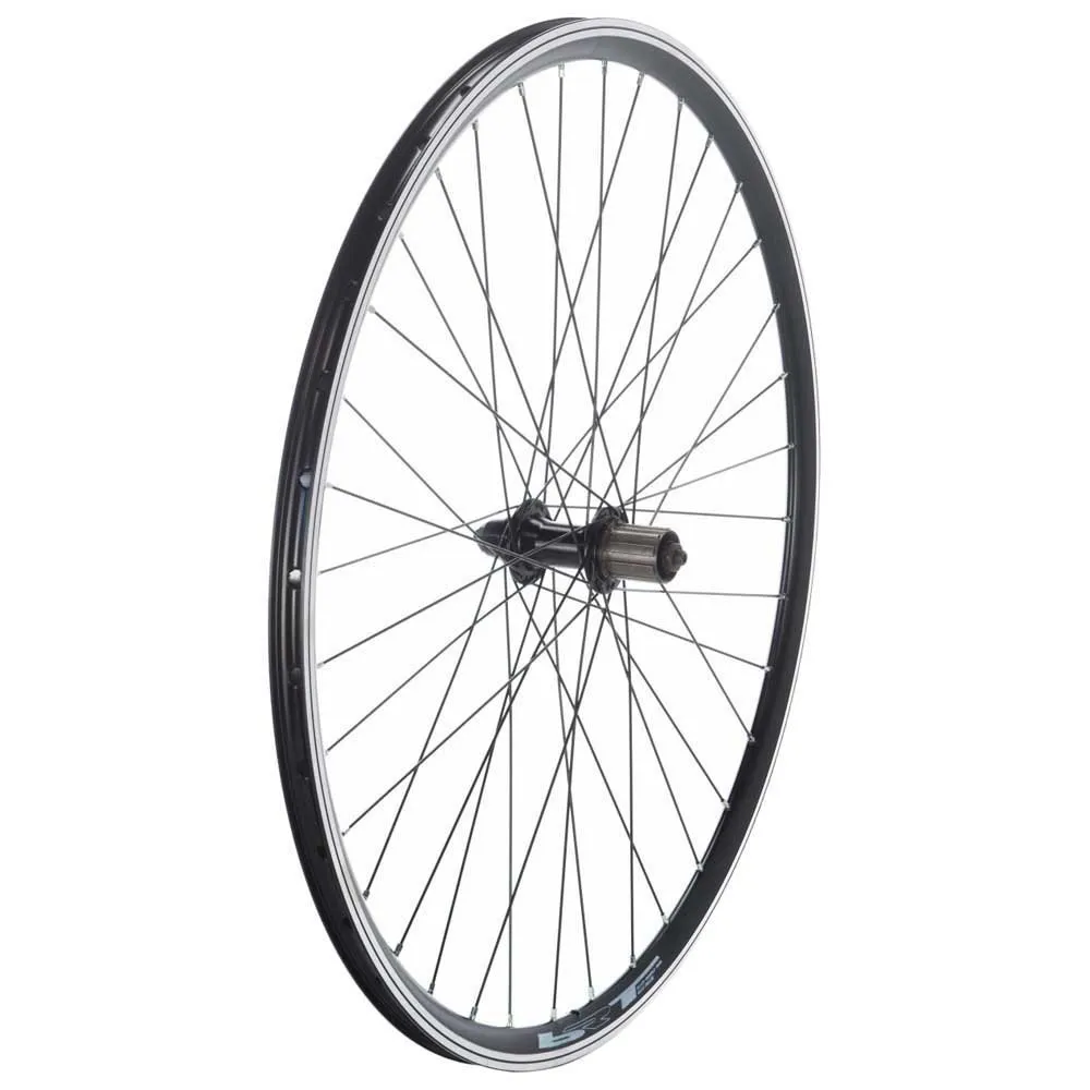 Bonin CBT Box 28´´ rear wheel