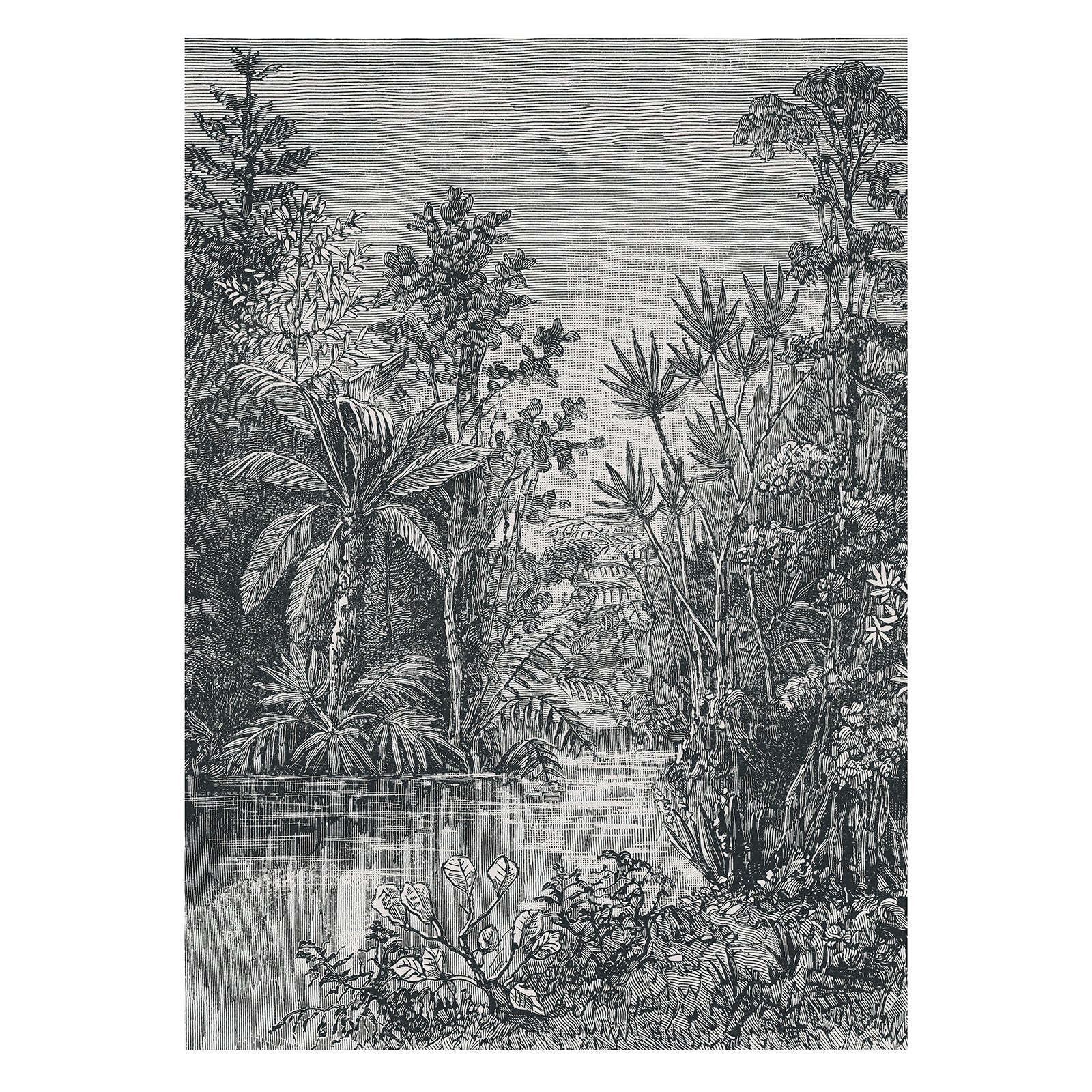 Superfresco Easy Fotobehang - Jungle - Zwart/Wit - 280x200 cm