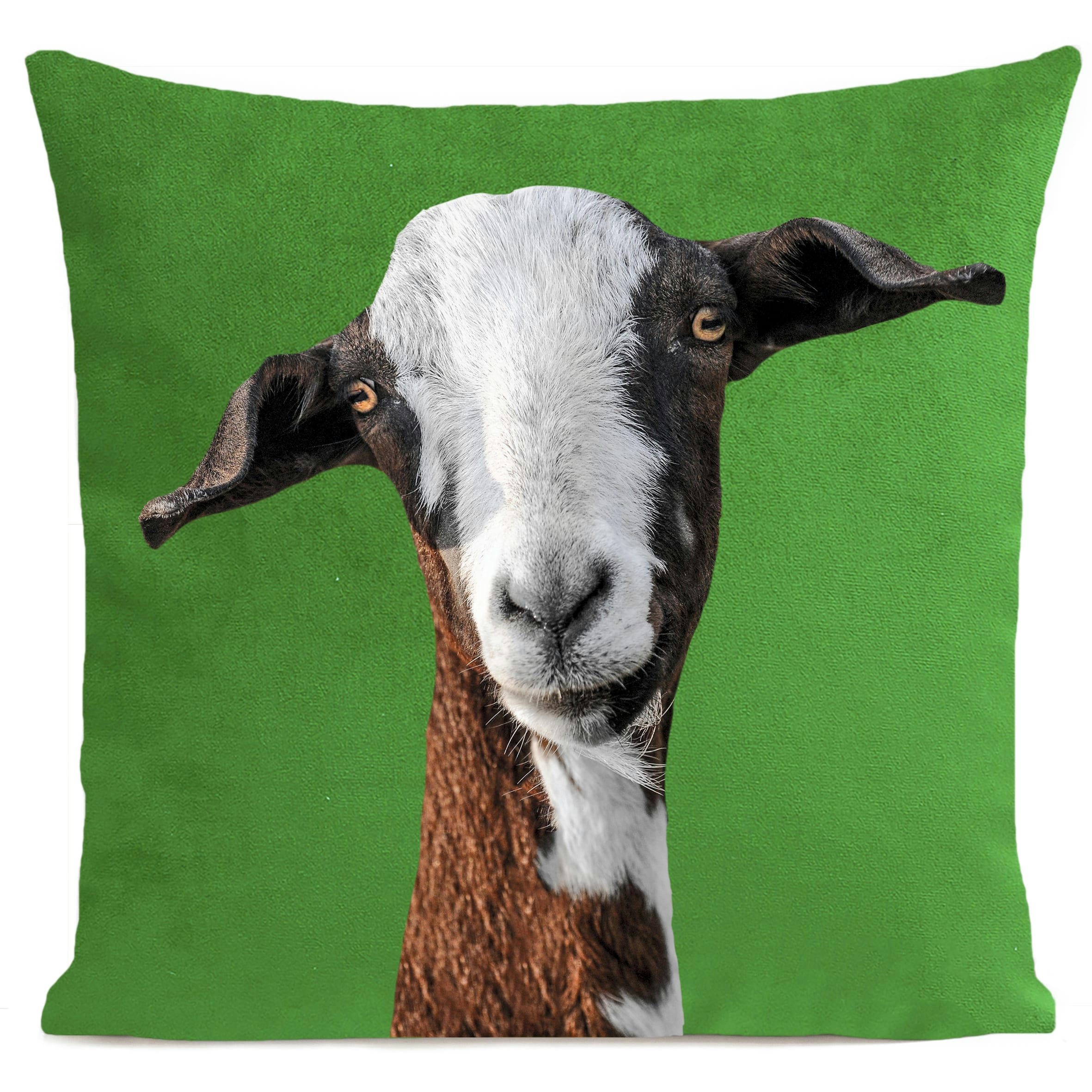 - Coussin campagne chèvre suédine vert 40x40cm