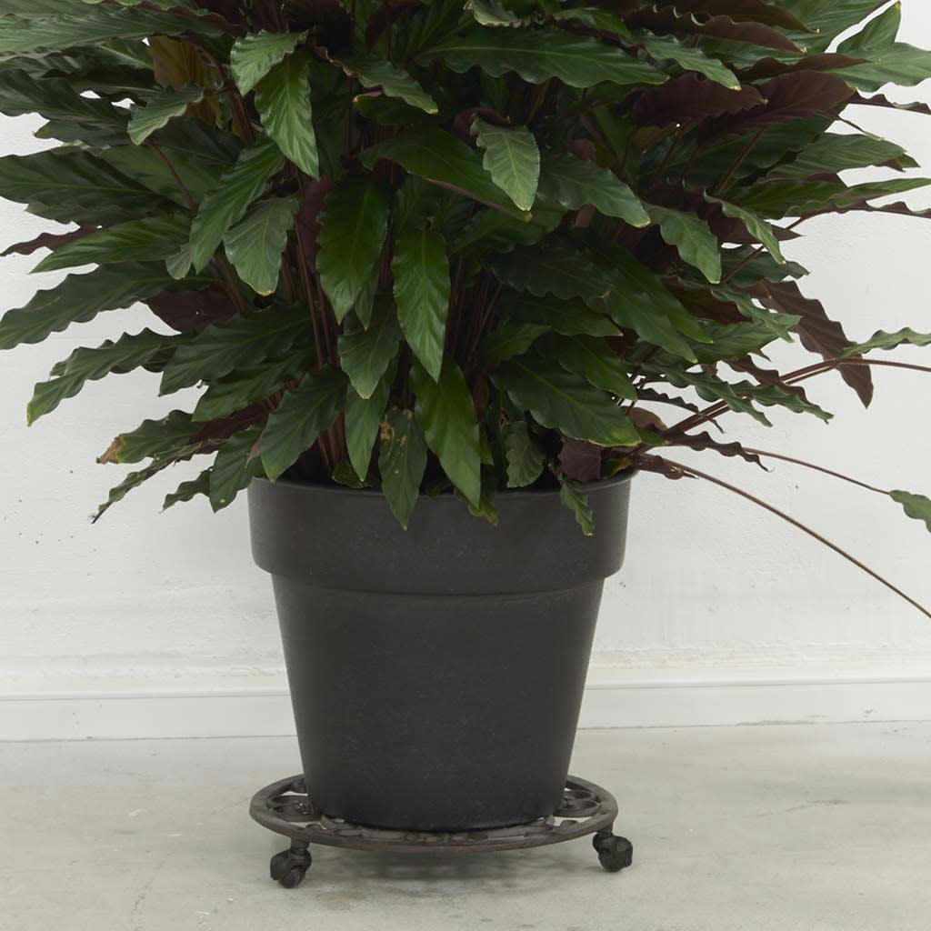 - Support à roulettes en fonte pour pot de fleurs