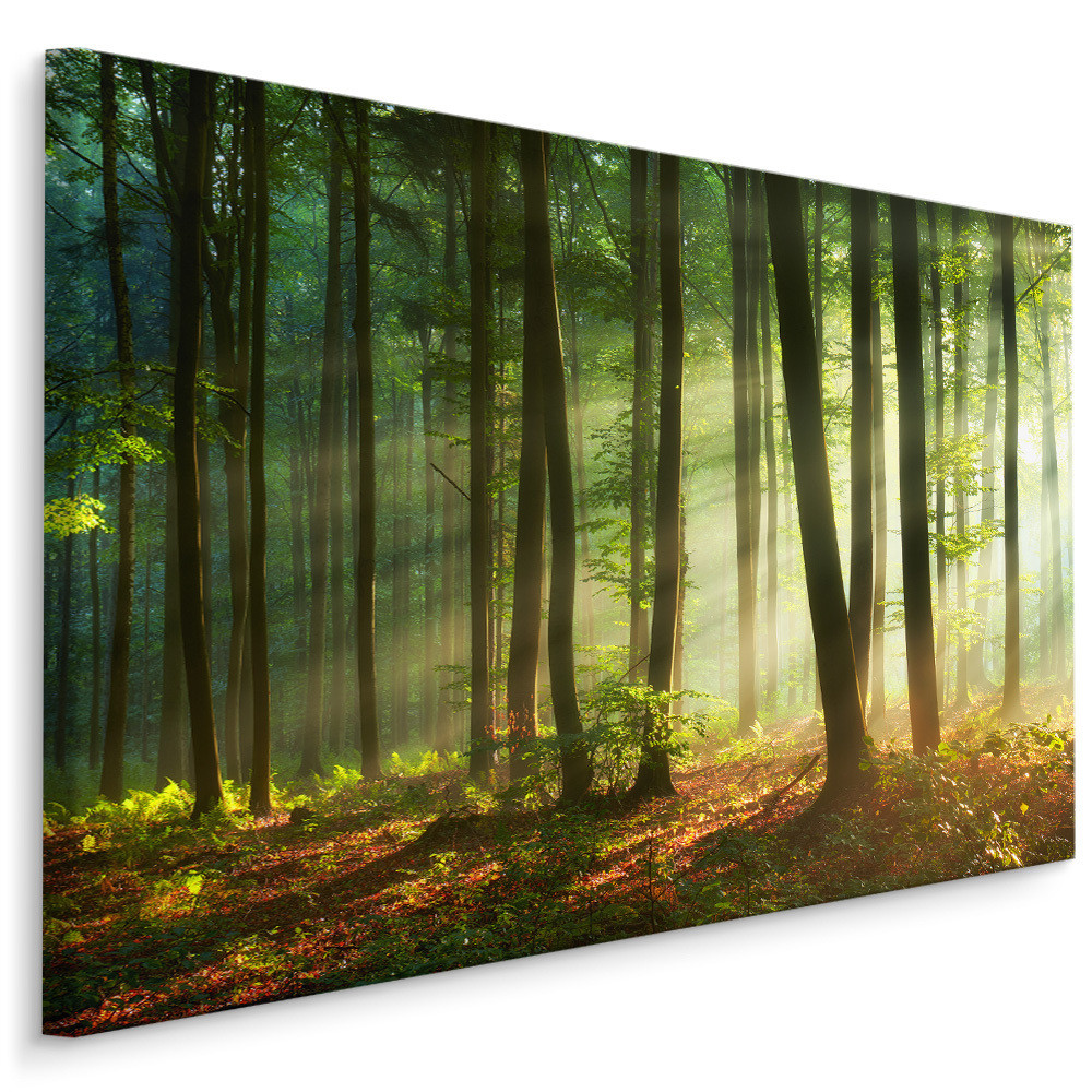 Obraz piękny poranek w lesie 30x20cm