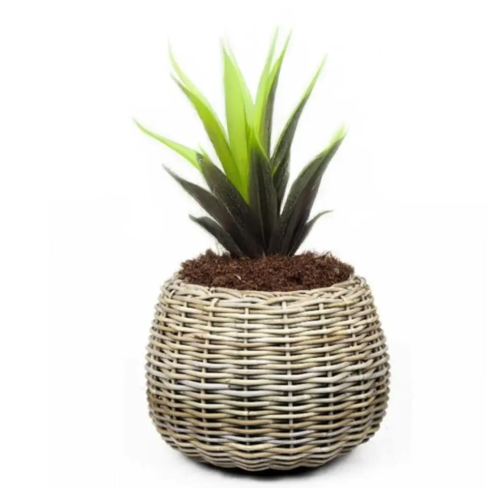 V/d Leeden Planten mand - rond - rotan - riet - 57x44cm - drypot