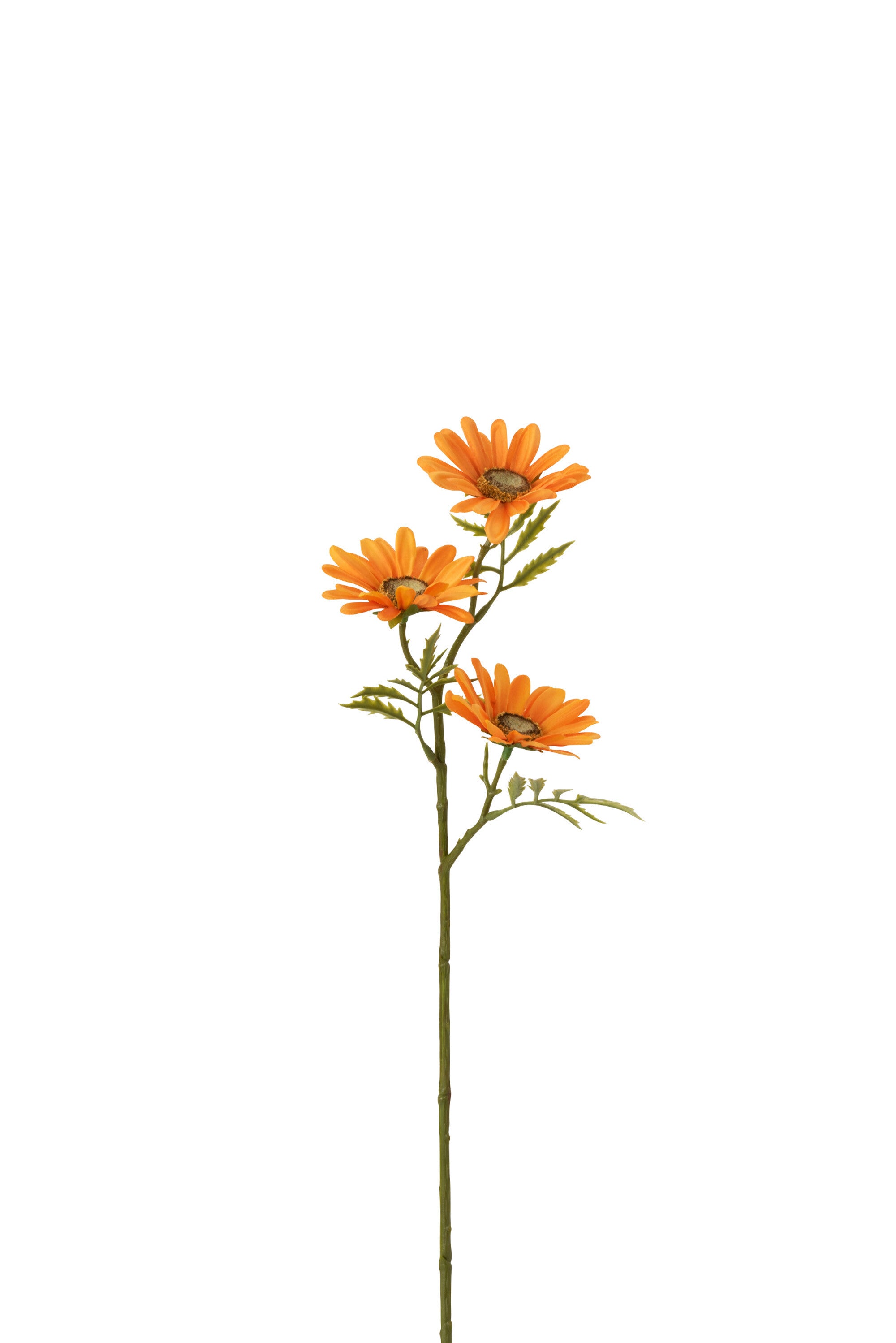 J-Line bloem Madelief - kunststof - oranje - 36 stuks