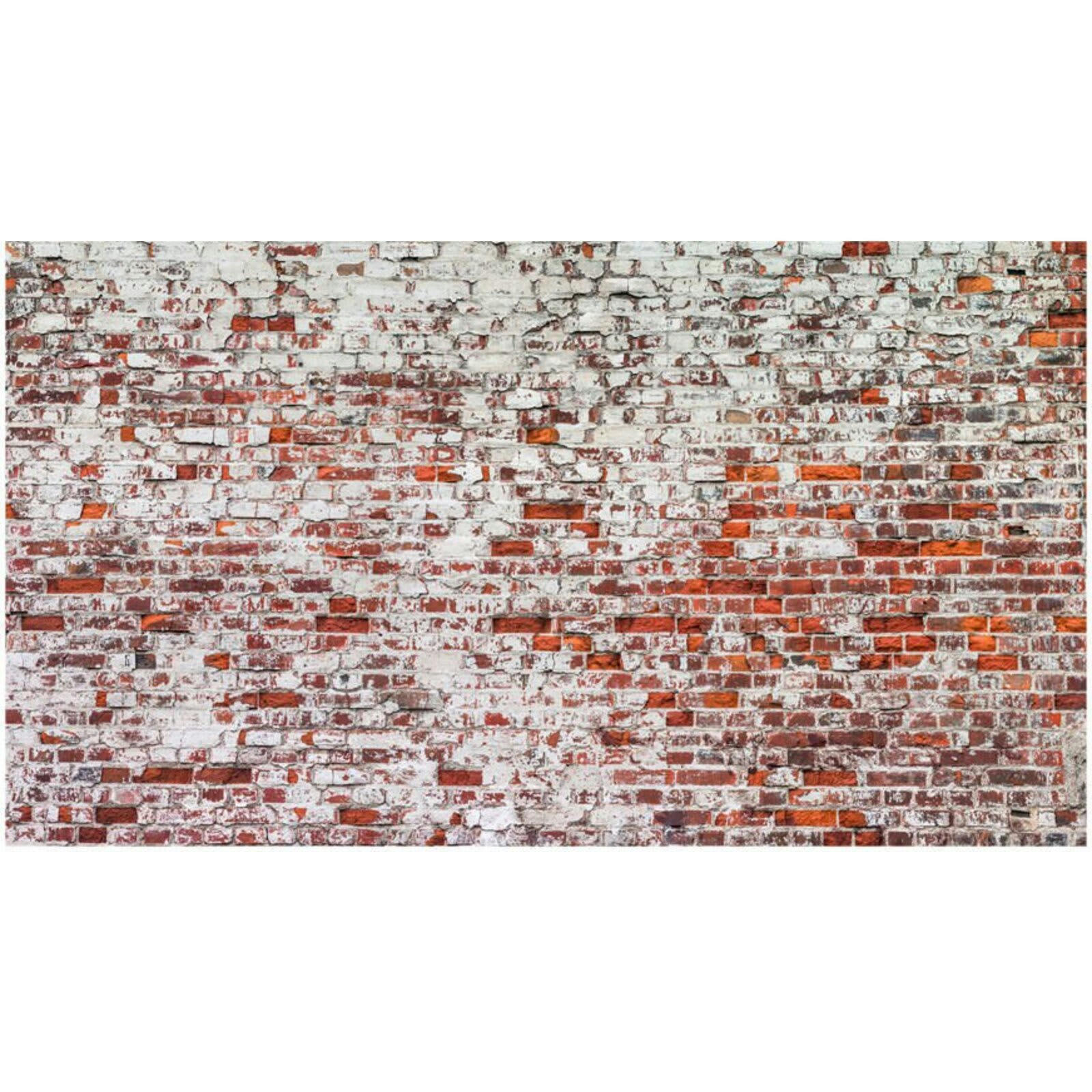 - Papier peint xxl écho du temps 500 x 280 cm