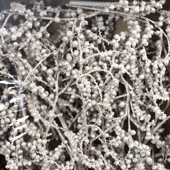 Trockenblumen