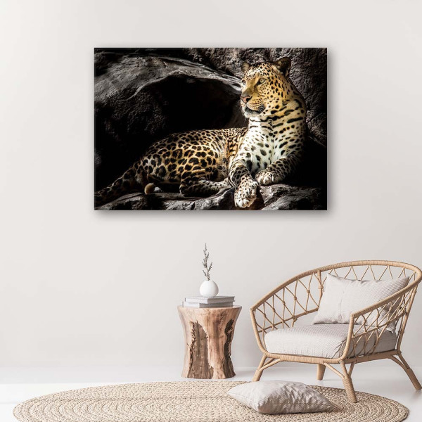 Feeby Obraz na płótnie Lampart na skałach 60x40