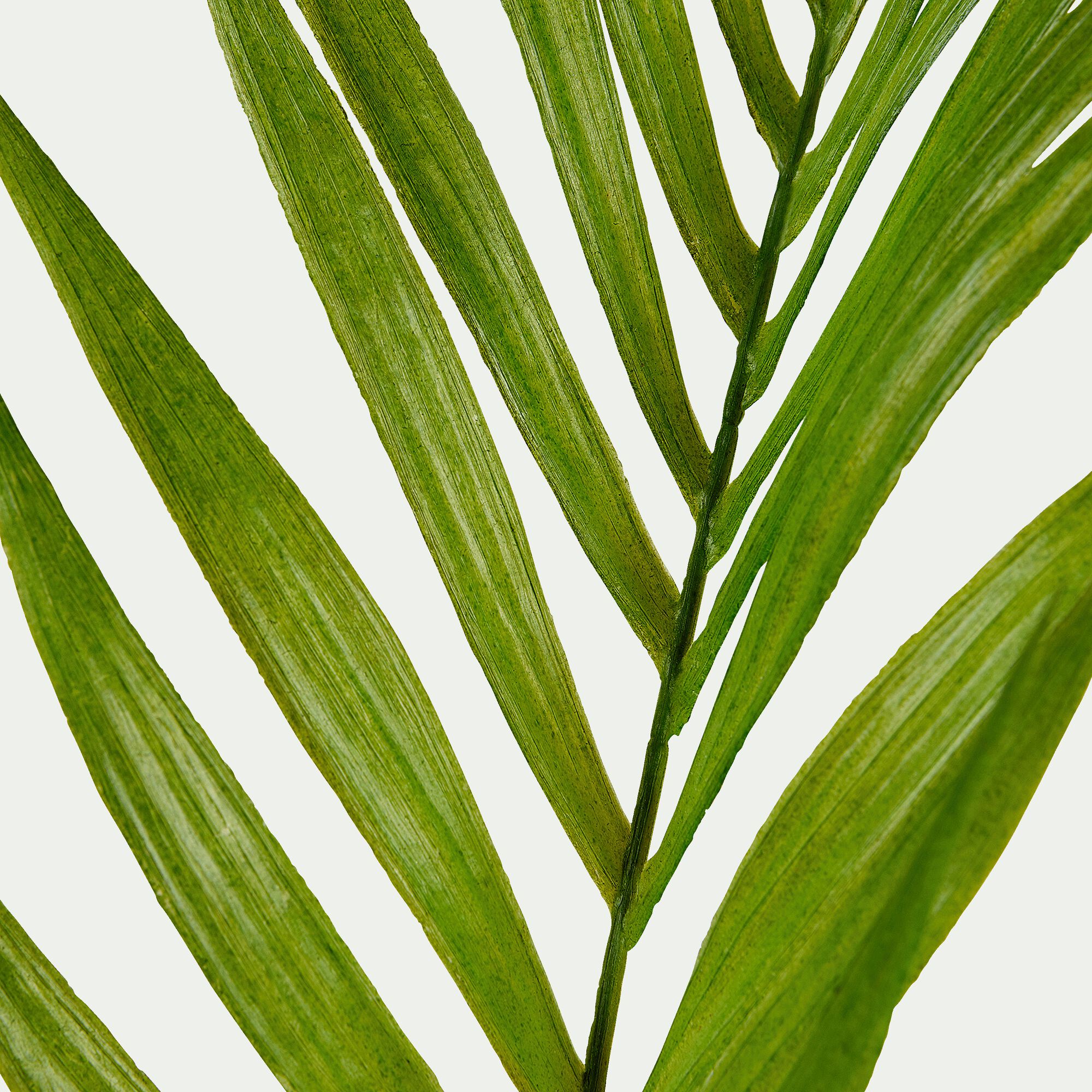 PALME - Branchage artificiel palmier - vert H41cm