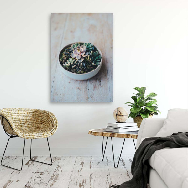Feeby Obraz na płótnie Rośliny w doniczce 40x60
