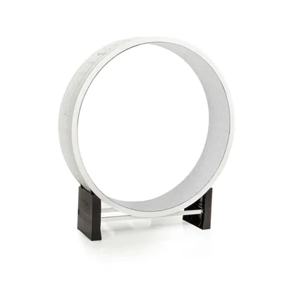 CanadianCat Company Cat in Motion Wheel