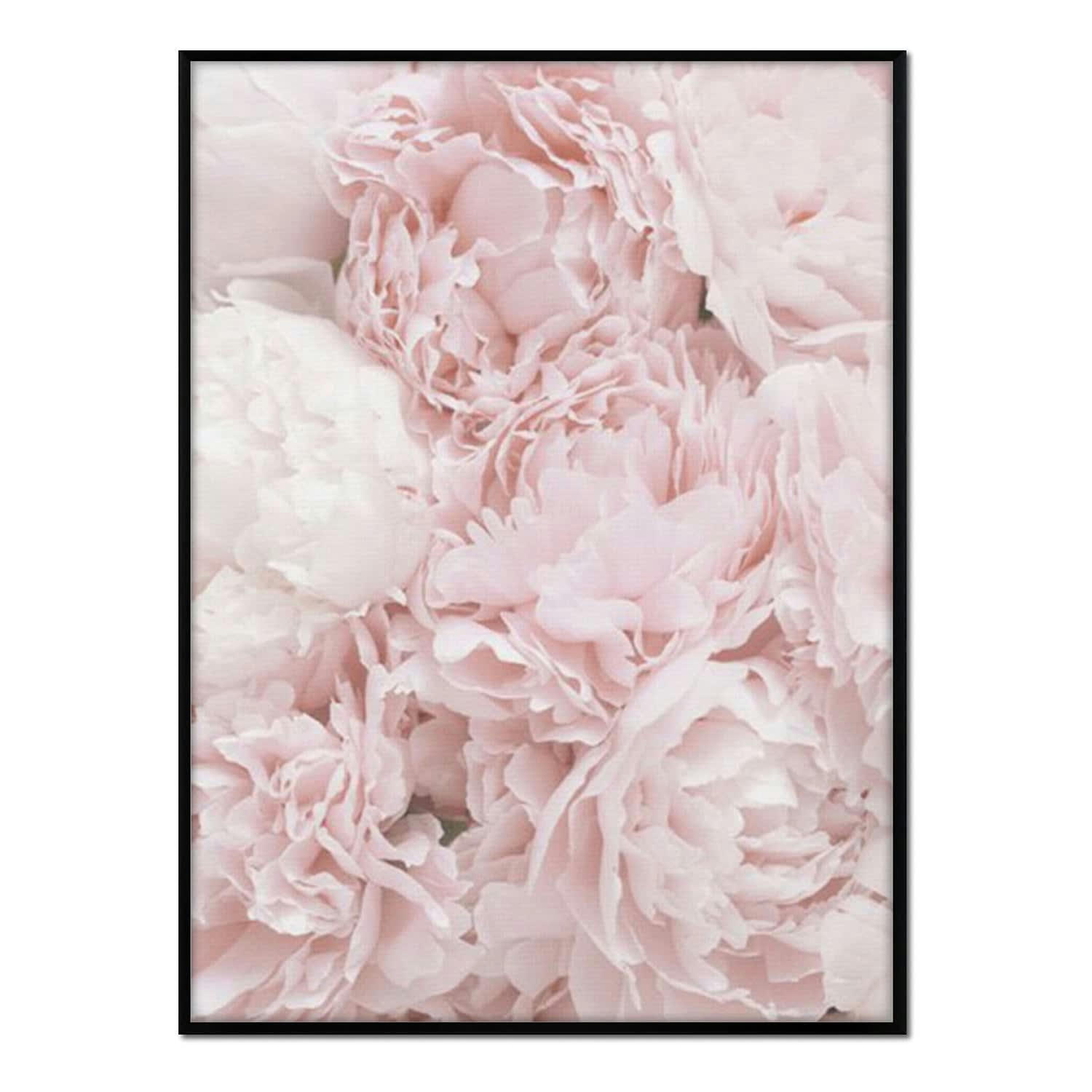 FLORES - Affiche avec cadre noir - Bouquet de Roses - 30x40