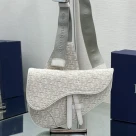 Dior Shoulder Bags SADDLE BAG Beige Dior Oblique Jacquard 1ADPO093YZY_H25E with Original Box