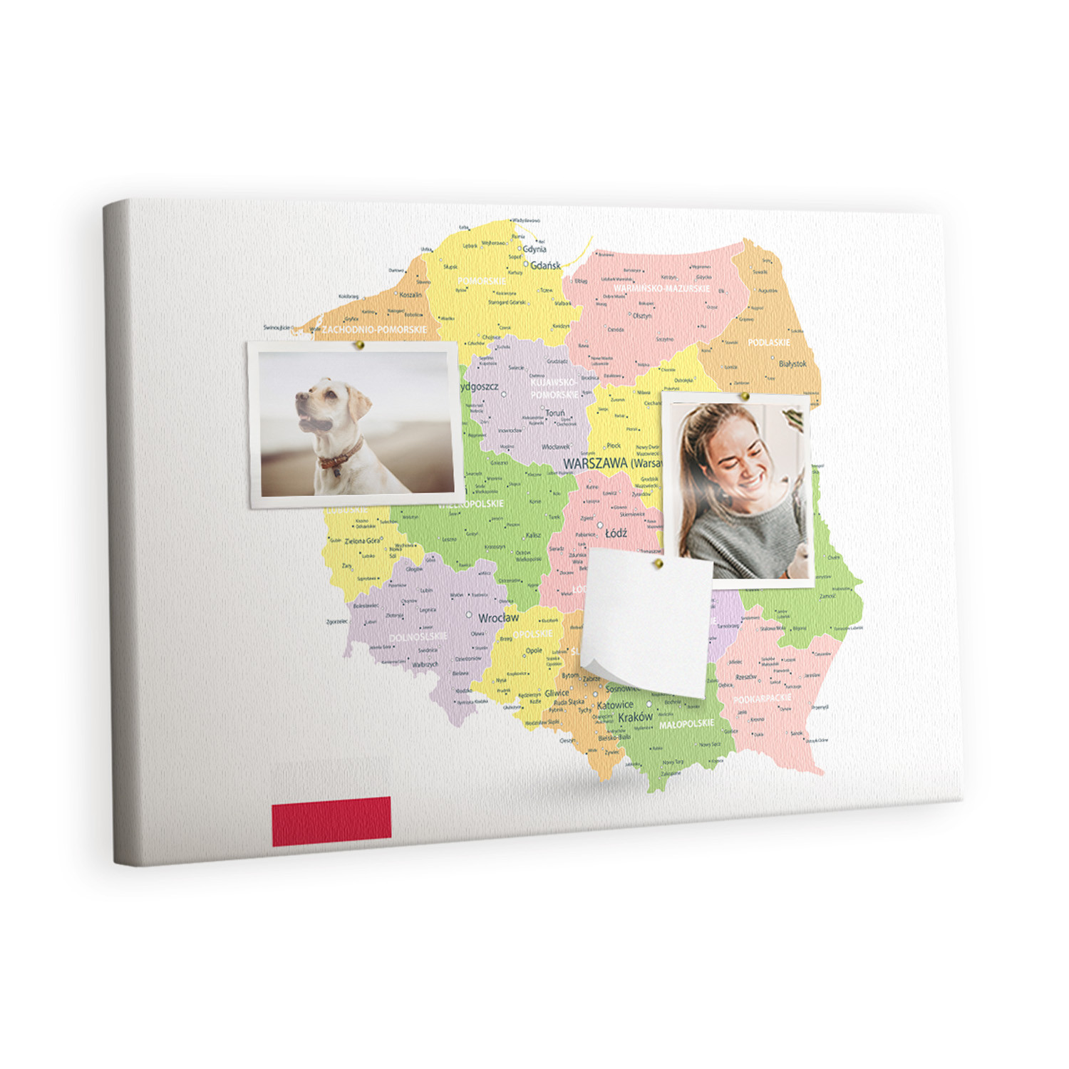 Tablica korkowa 60x40 cm do pokoju dziecka   pinezki Mapa