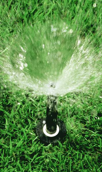 Rain Bird Full Circle Pattern Pop-Up Spray Head, 4-in