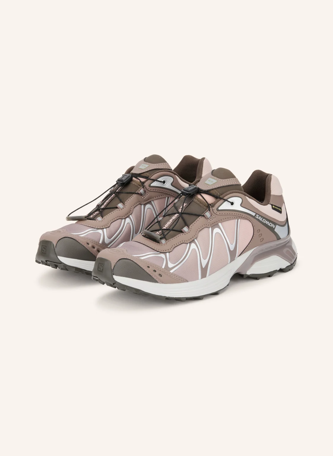 SALOMON Sneaker XT-WHISPER GTX