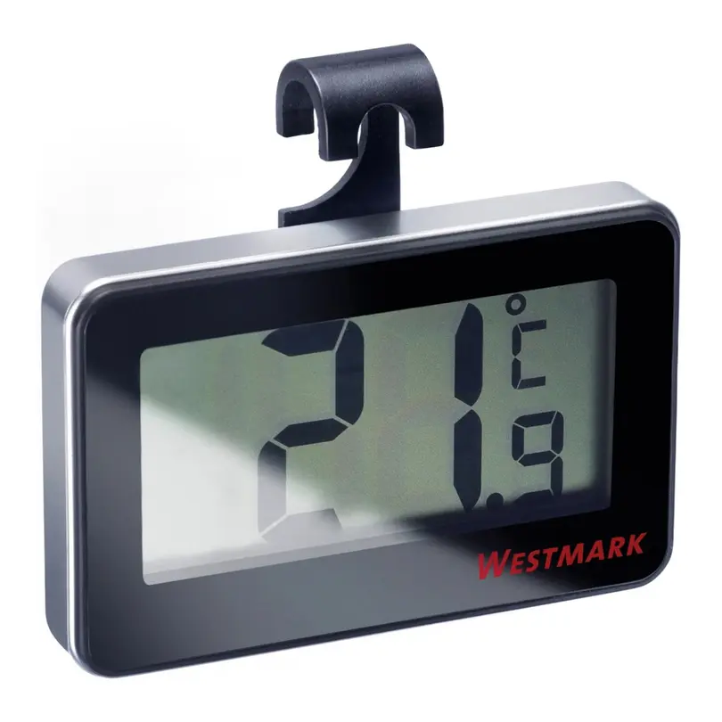 Thermometer Fridgy