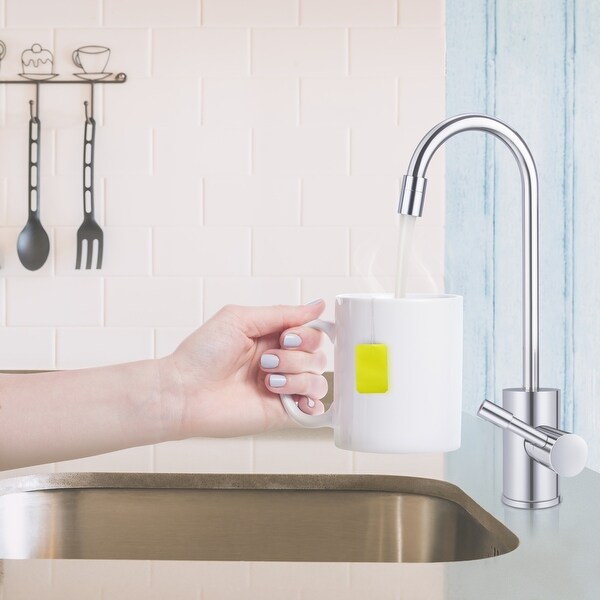 Instant Hot Water Dispenser with Single Handle Brushed Nickel Faucet