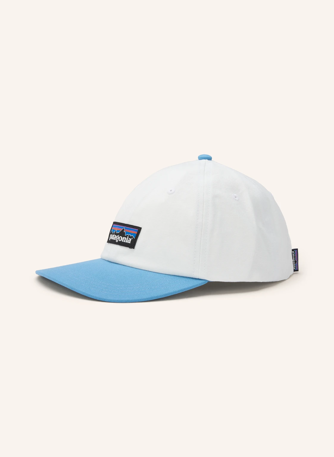 patagonia Cap P-6