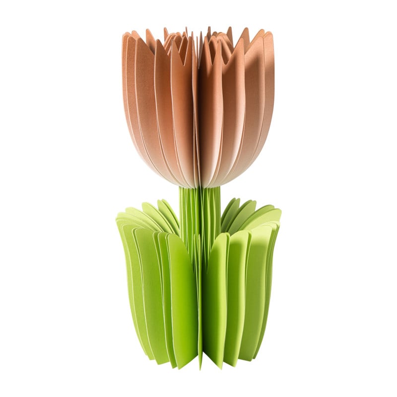 Paashanger tulp groot - papier - diverse varianten