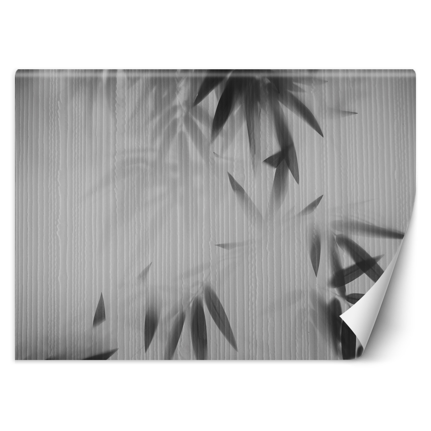 Feeby Fototapeta, Liście we mgle abstrakcja 150x105