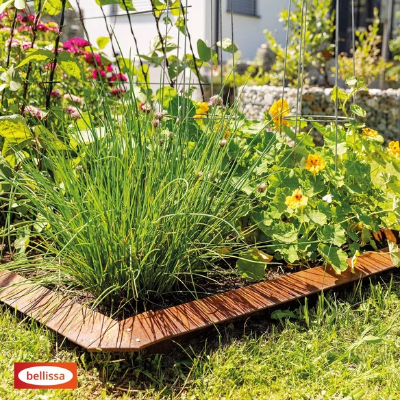 Schneckenblech »Corten«, LxH: 100 x 6,5 cm, Rotbraun