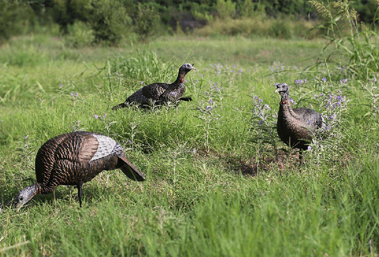 Flextone Thunder Chick Hunting Upright Turkey Deocy