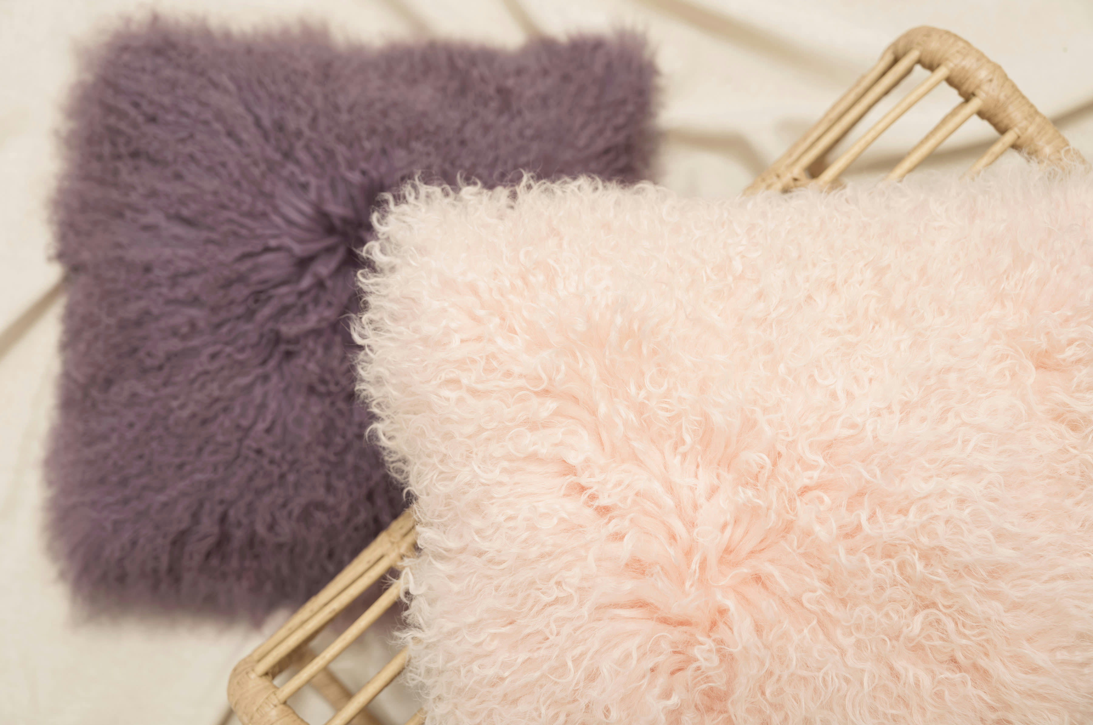 PAMINA - Housses de coussin en laine du tibet gris anthracite 40x40