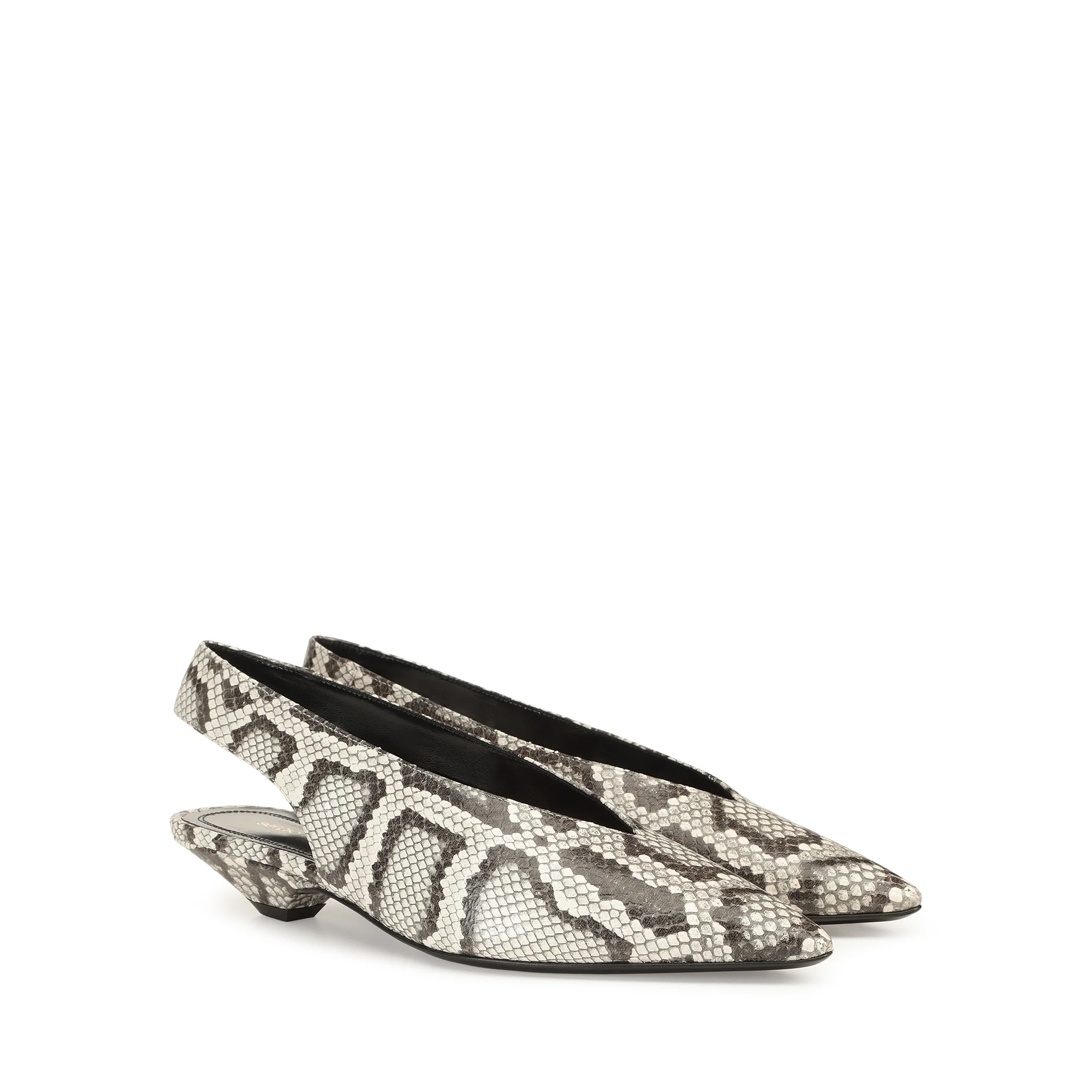 Beak Slingback - Roccia
