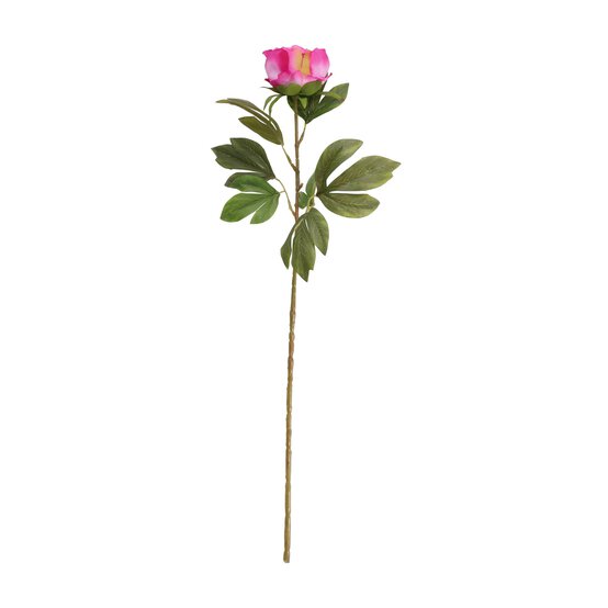 Cerise Peony 80cm x 11cm