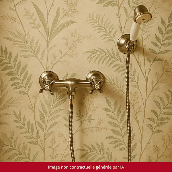 Mélangeur douche   flexible   douchette   support PAINI Tiffany Gris Acier