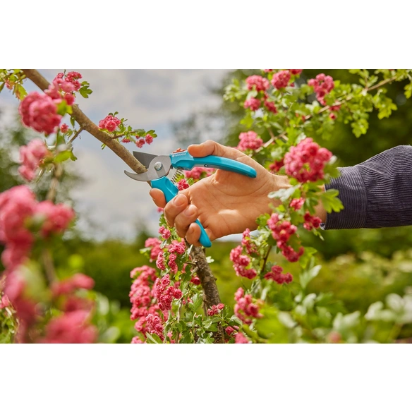 Gartenschere