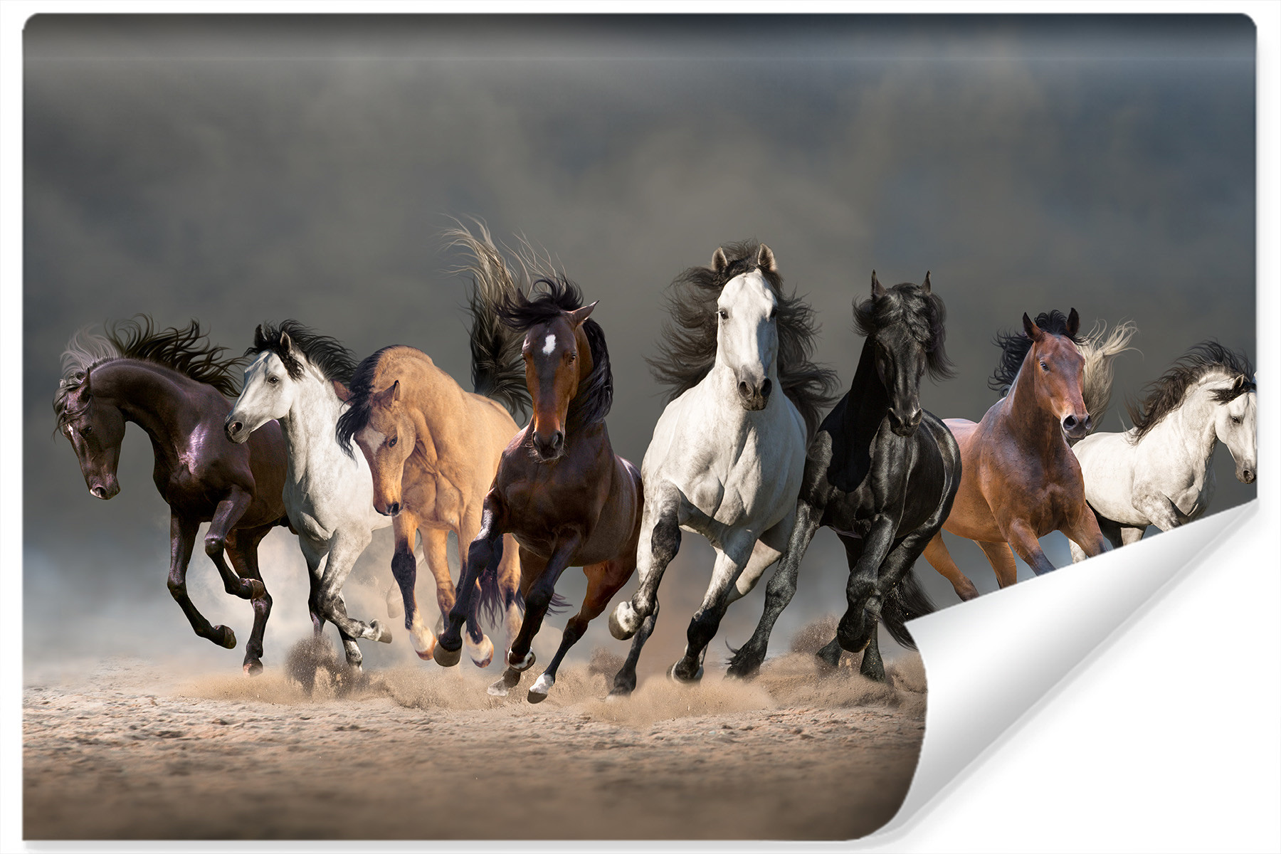 Fototapeta Galopujące Konie Na Pustyni 3D 90x60cm