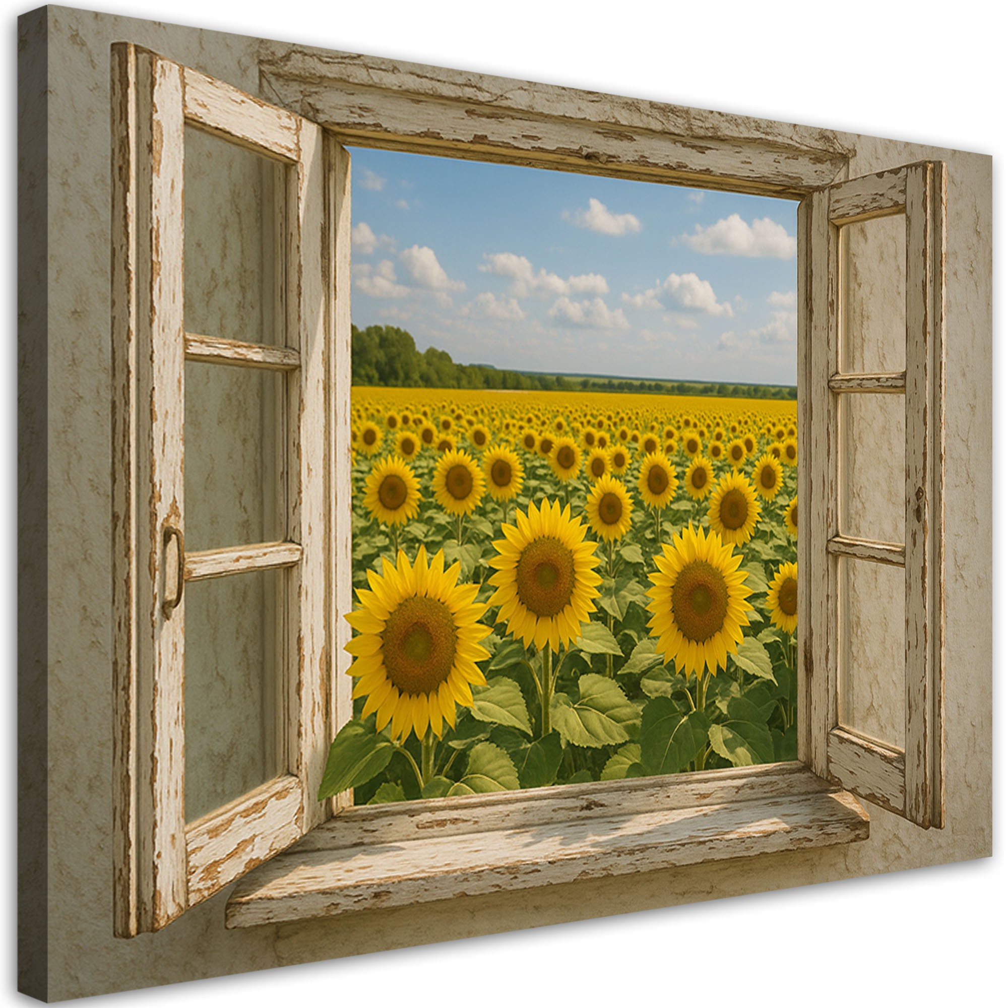 Obraz do salonu jadalni, Widok z okna Pole Słoneczniki Shabby Chic 30x20