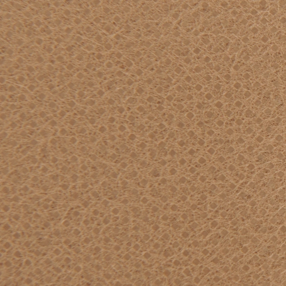 Wintervlies, BxL: 500 x 150 cm, wasser- und luftdurchlässig