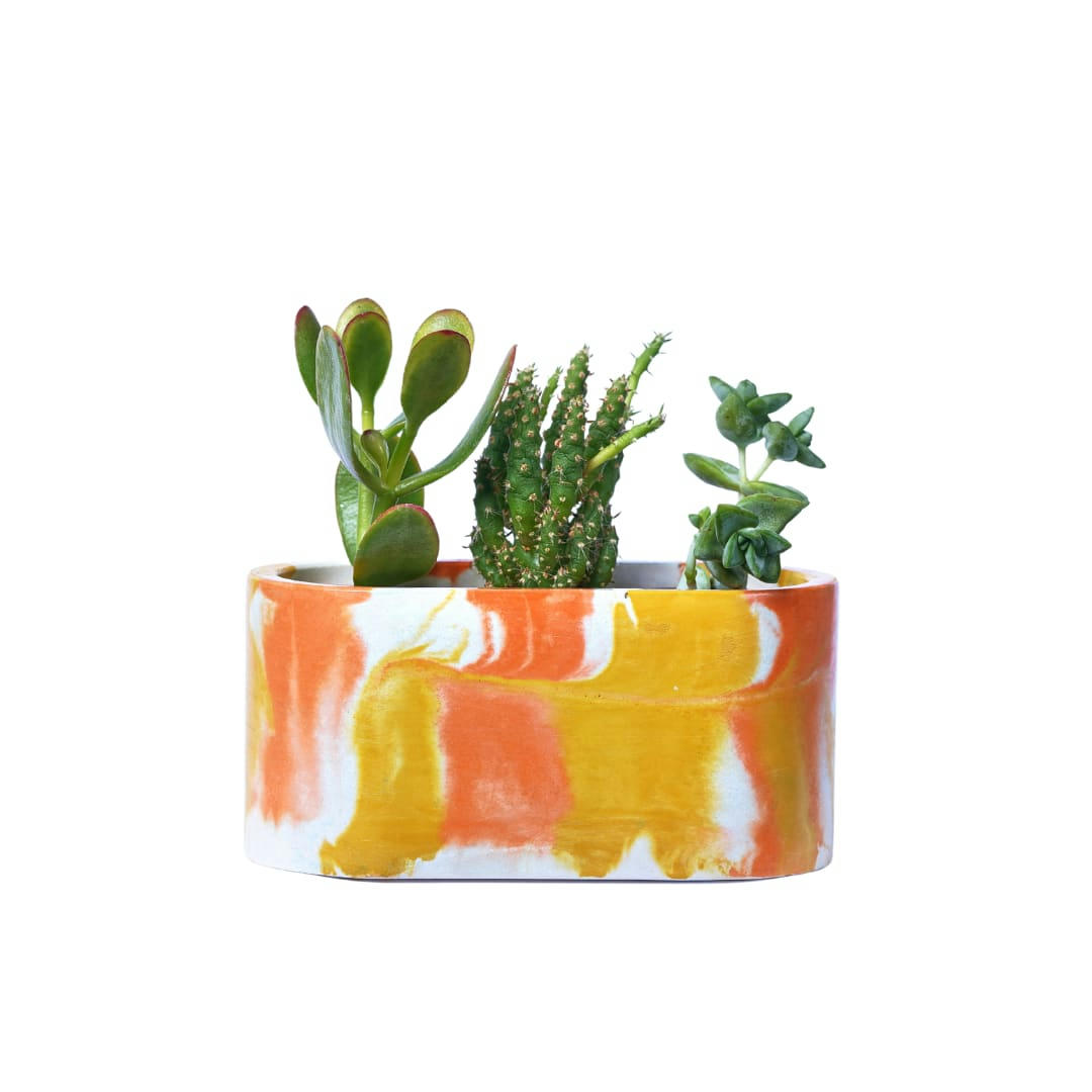 MINI JARDI TIE&DYE - Mini jardinière tie&dye en béton orange et jaune