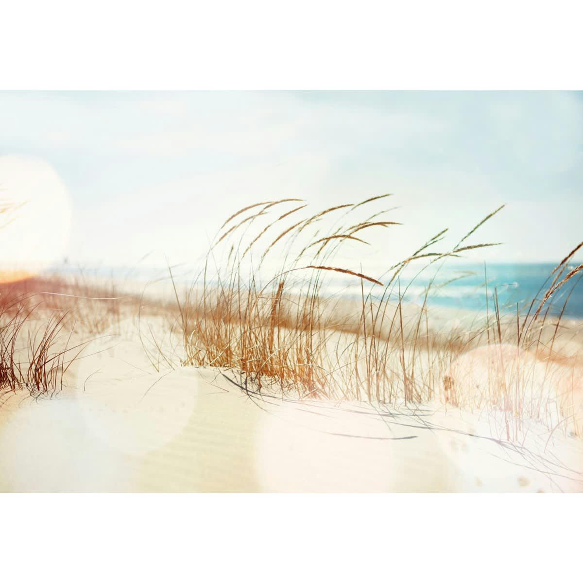 DUNE XL - Papier peint panoramique motif imprimé Multicolore 432x300cm