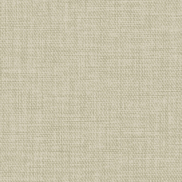 Papier peint vinyle intissé uni structuré beige L.1000 x l.52 cm GoodHome Shung