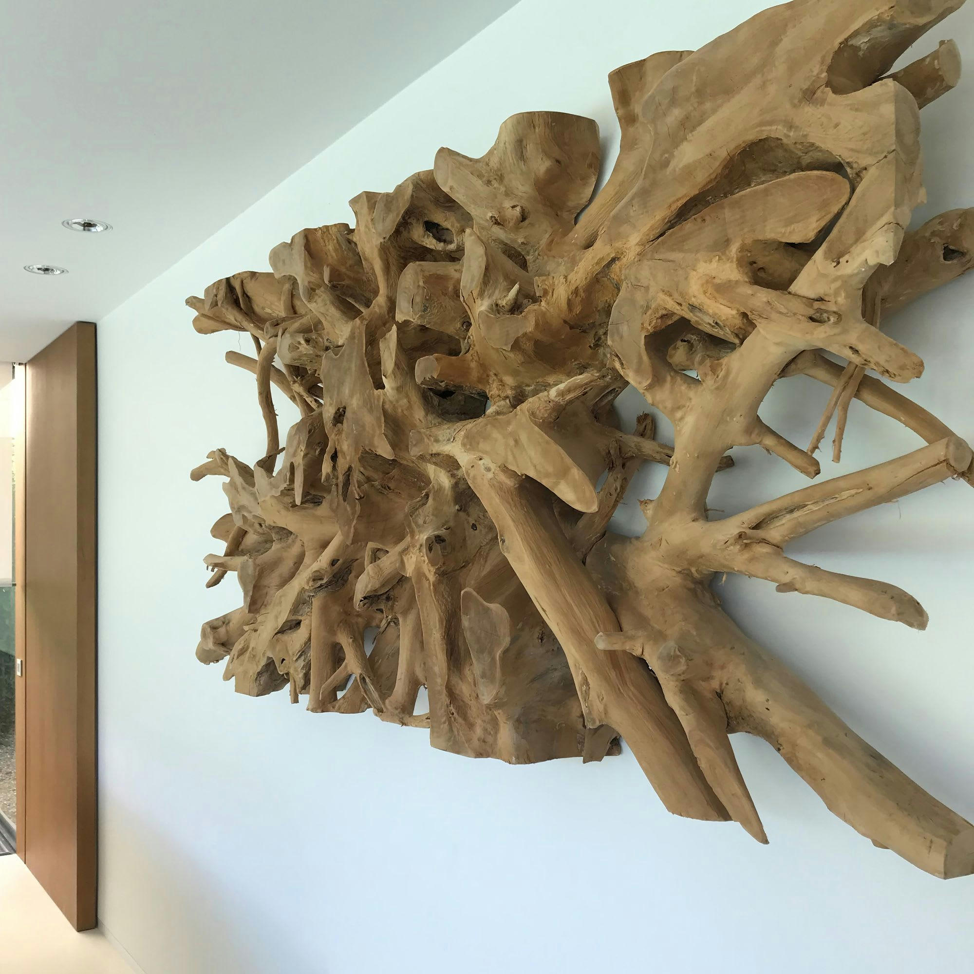 SARANNAH - Décoration murale en racine de teck 170cm