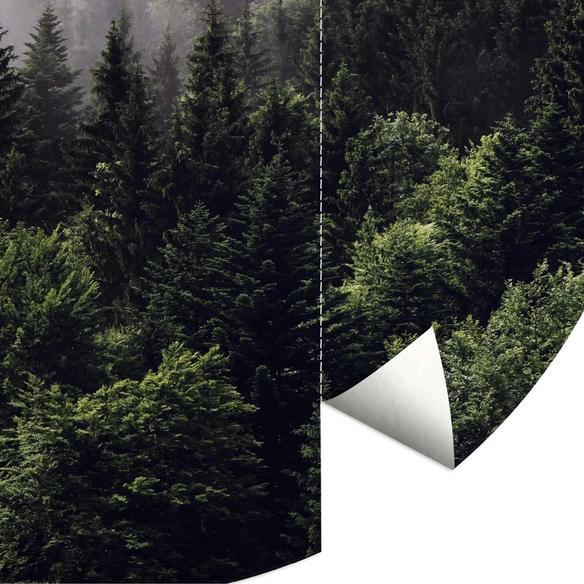 Vliestapete »Runde Vliestapete«, Nebel Wald Tannenwald, mehrfarbig, matt