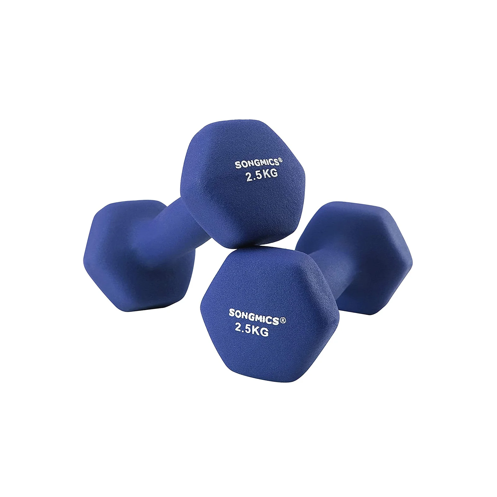 2 Haltères 2,5 kg bleu