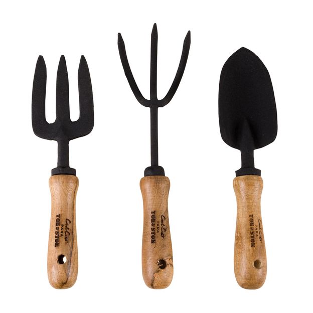 KIT PARA JARDINAGEM COM 3 PEÇAS BROMÉLIA