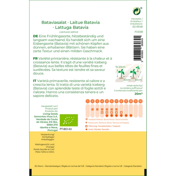 Bataviasalat, La Brillant
