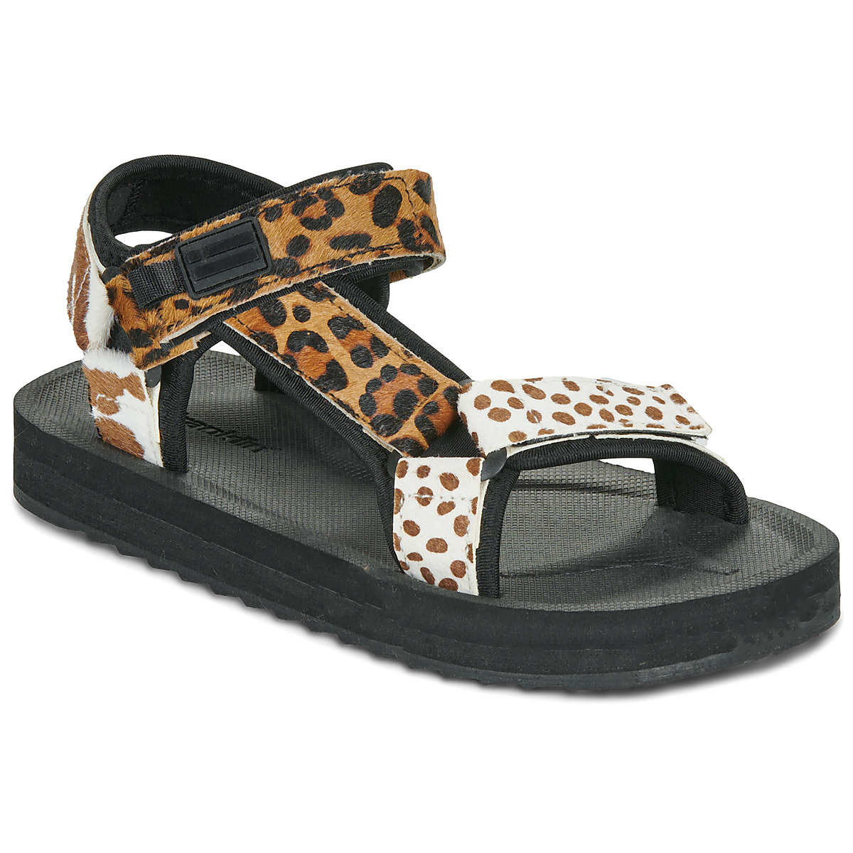 D.Franklin - FOREST - Black / Brown / Animal