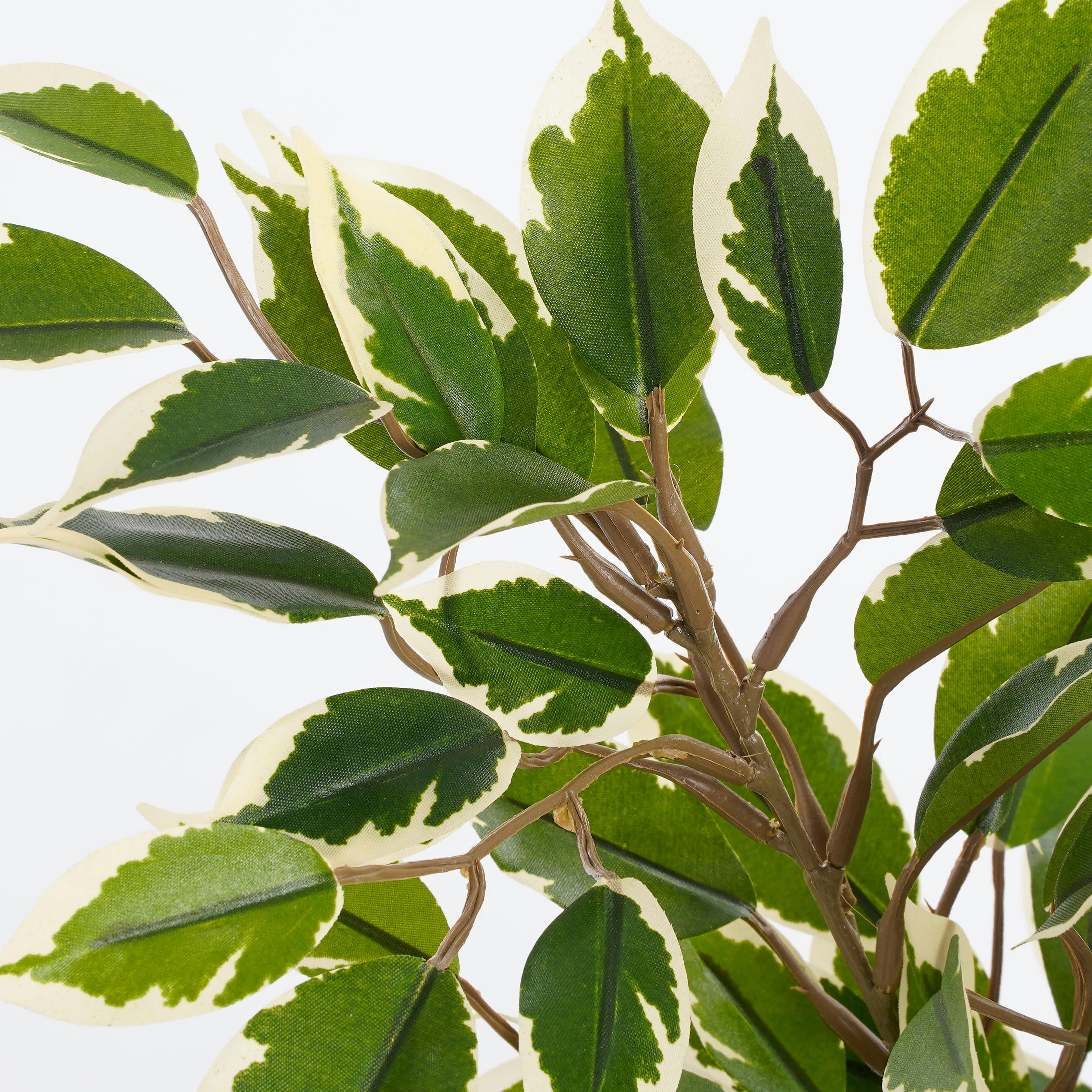 - Ficus natasja artificielle verte panaché en pot H40