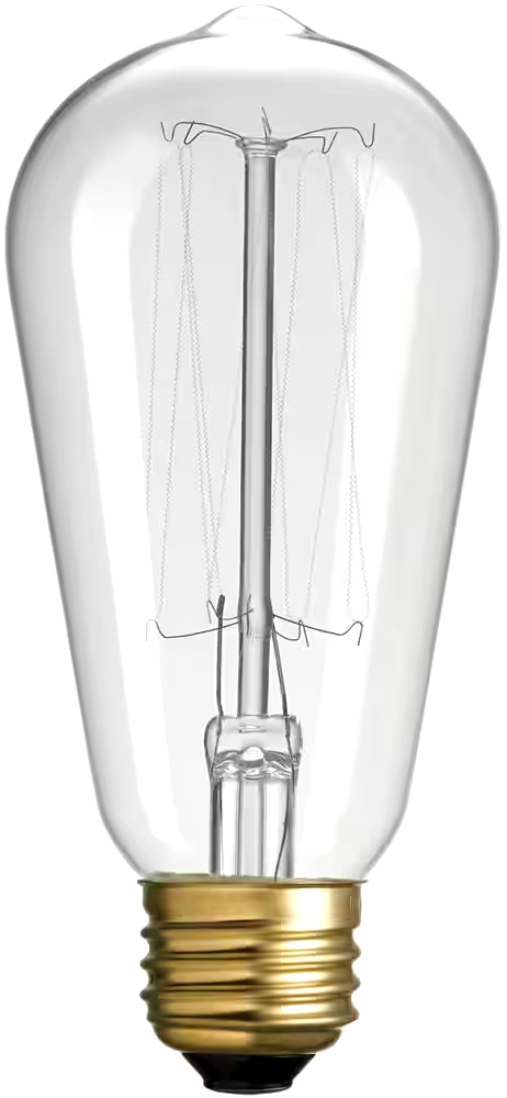 Globe Electric S60 E26 Base Vintage Clear Dimmable Light Bulbs, 220 Lumens, 60W, 4-pk