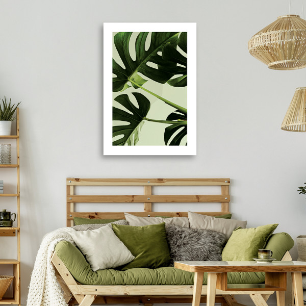 Feeby Obraz na płótnie, Zielone liście monstera 40x60