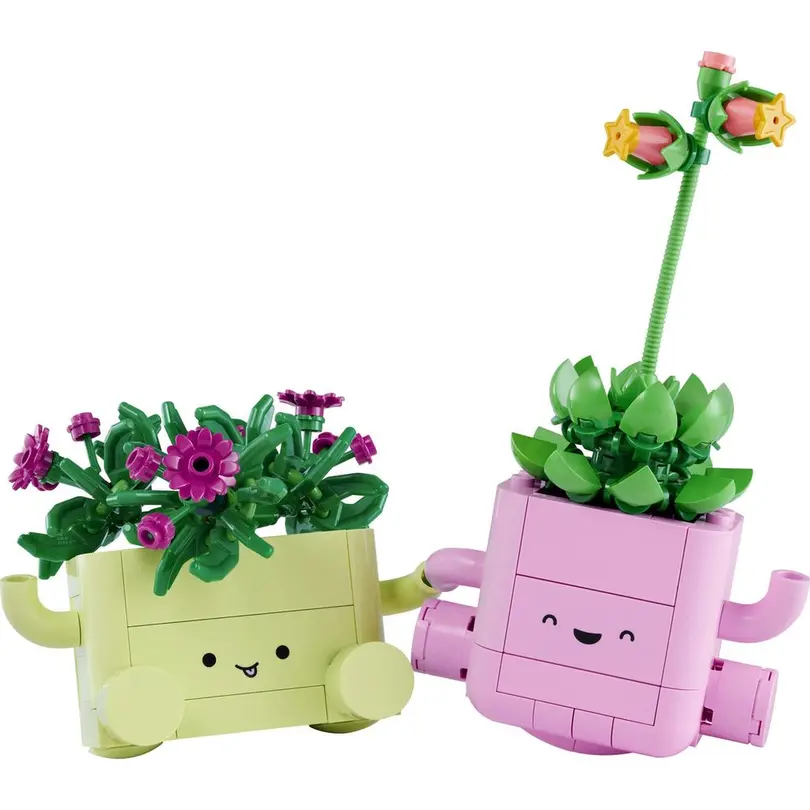 Spielset Botanicals