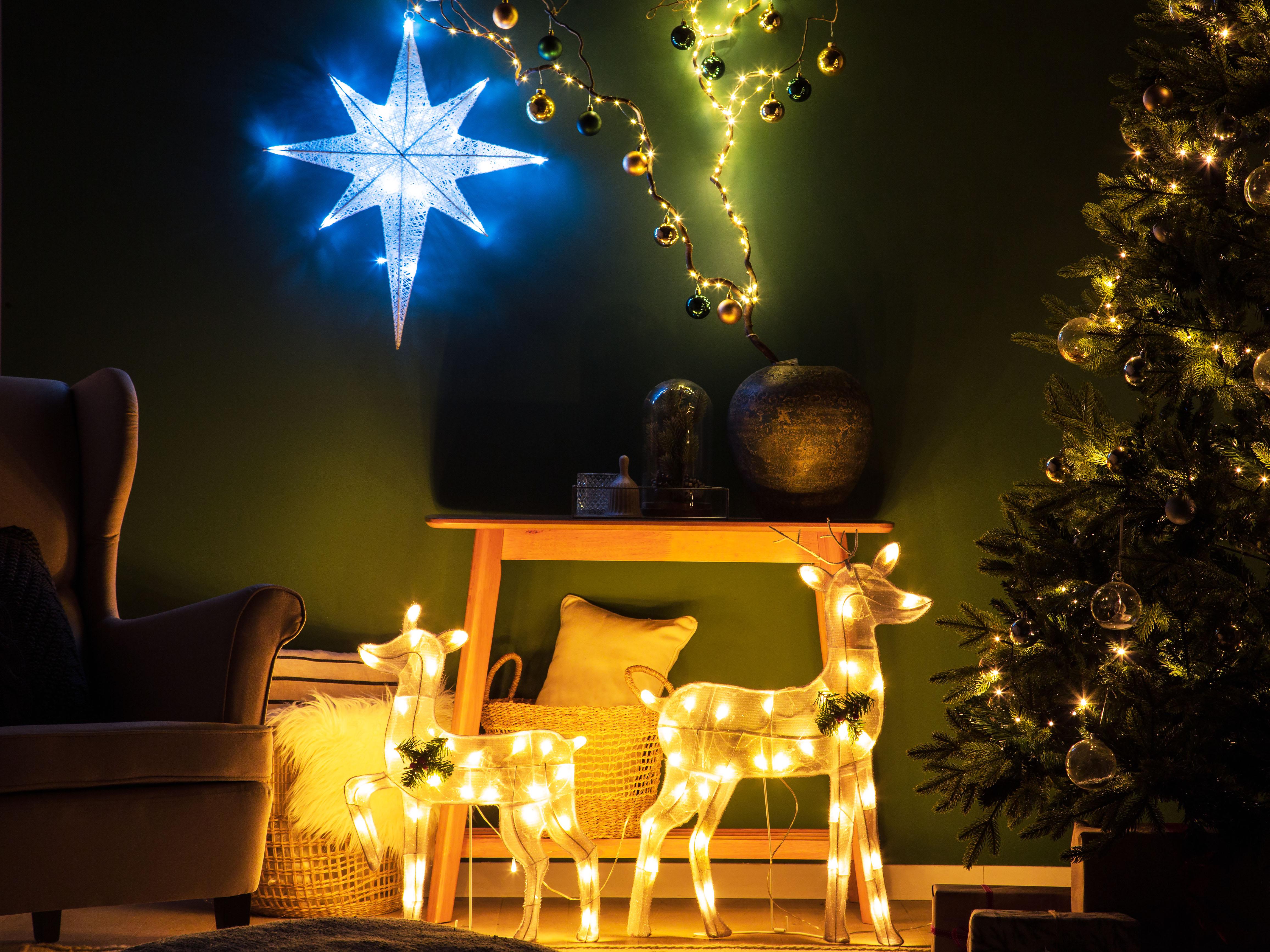 Outdoor Hanging Decoration LED OSMA Star 67 cm White