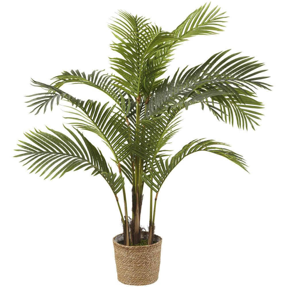 MAJESTY - Areca artificiel en pot